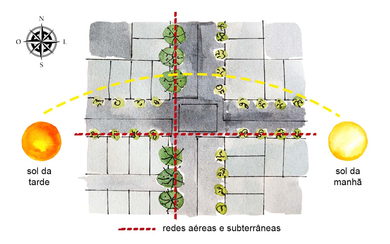 Orientação solar para arborização urbana
